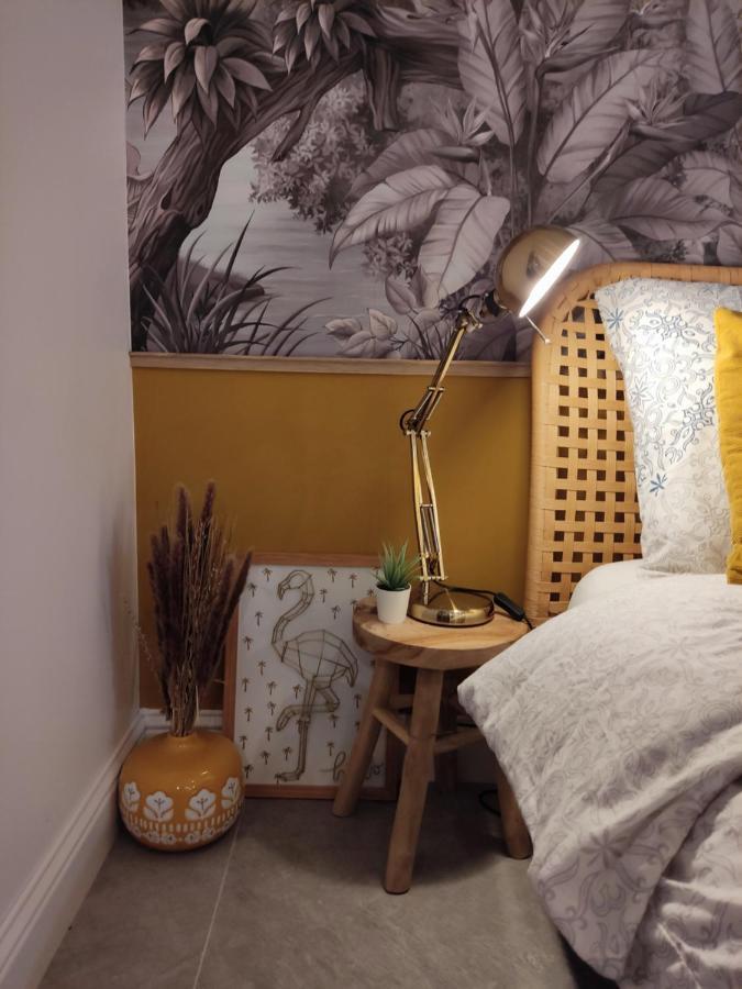 Superbe Appartement Avec Jacuzzi Avec Jardin Prive ลียง ภายนอก รูปภาพ